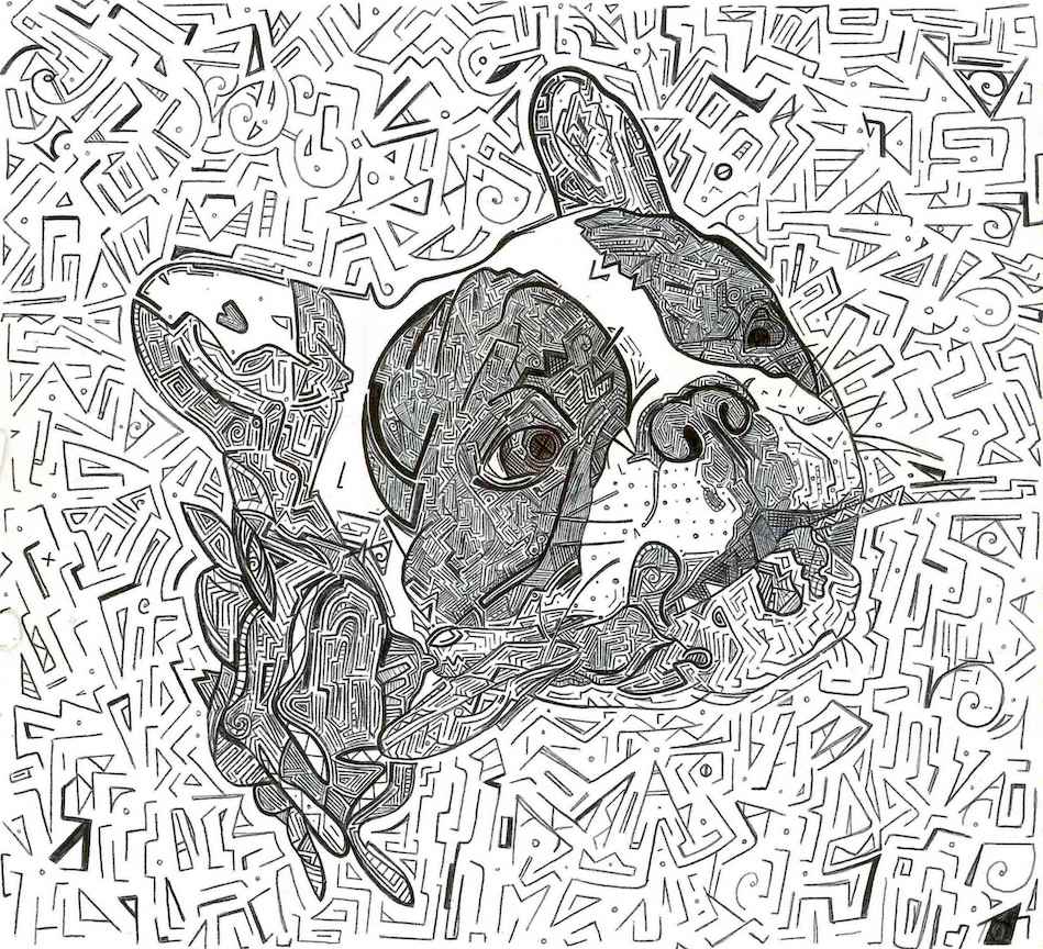 drawing of a french bulldog holding a rose